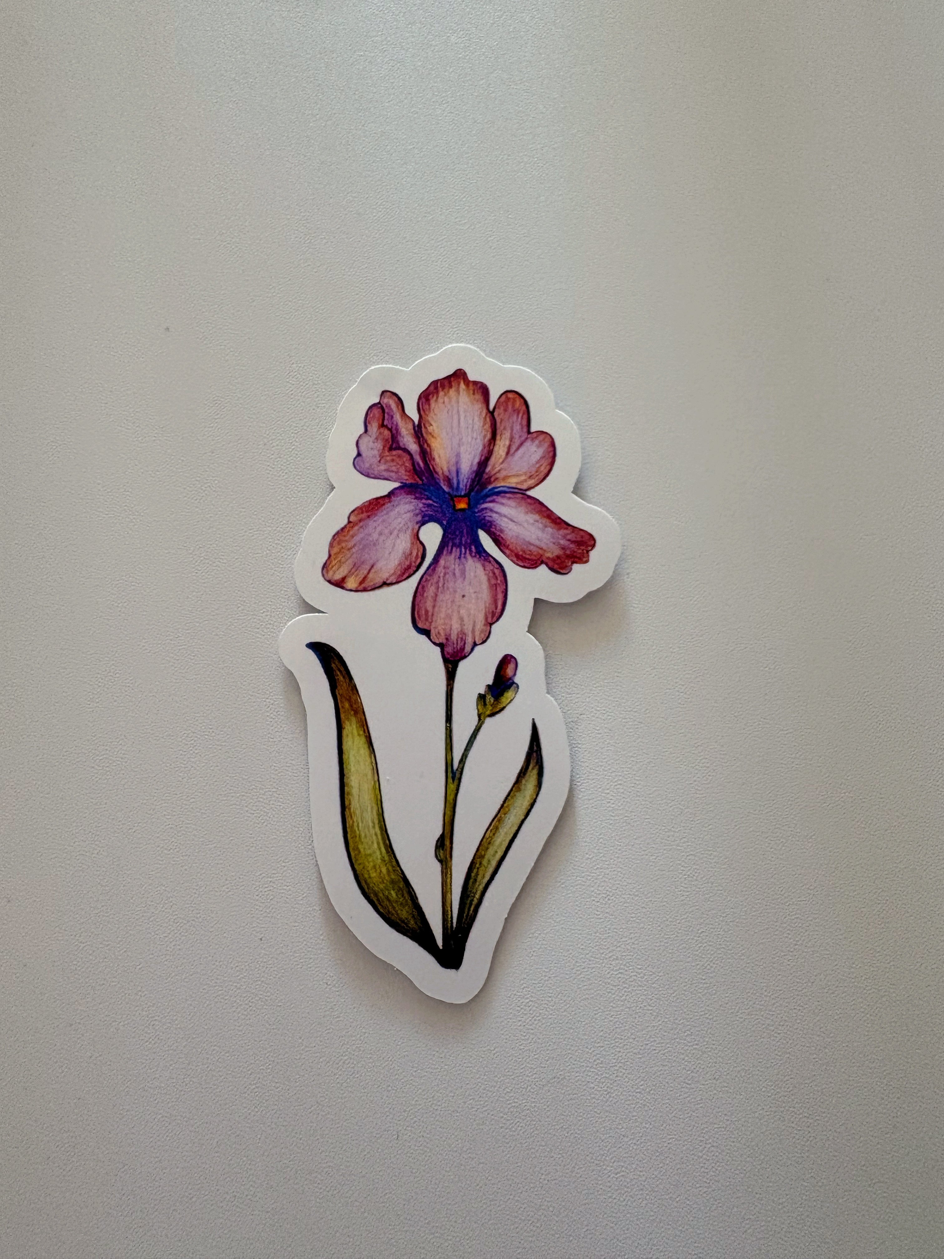 Iris Sticker